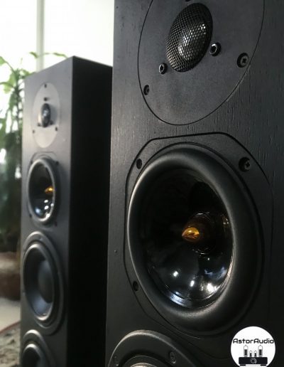 columnas hifi audiocord HE 3/6 3 vias astoraudio cordoba argentina 2