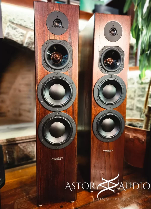 bafles columnas hifi audiocord he 3-6 high end series 3 vias spikes desacople cordoba argentina astoraudio 1