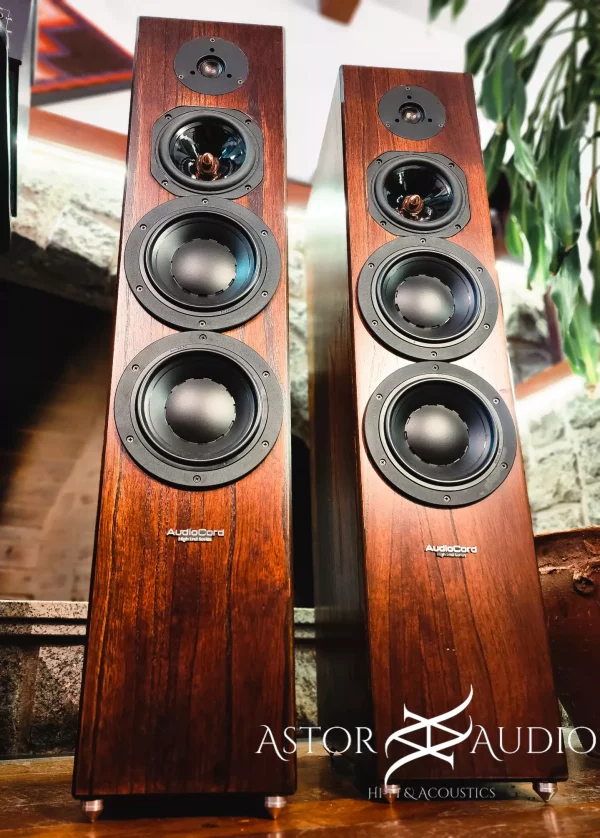 bafles columnas hifi audiocord he 3-6 high end series 3 vias spikes desacople cordoba argentina astoraudio 2