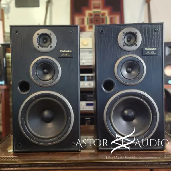 Bafles Technics SB-LX50 audio hifi audio astoraudio cordoba argentina